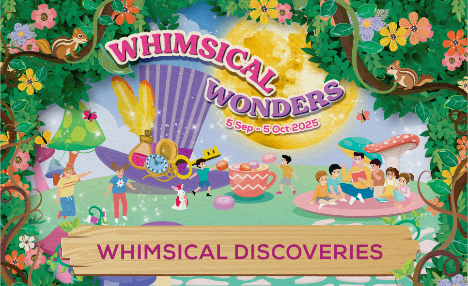 Whimsical Discoveries